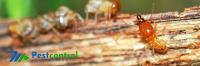 711 Termite Pest Control Adelaide image 8